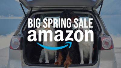 Spring Sale - The best Amazon Big Spring Sale deals for your dog - autoblog.com