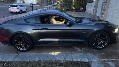 Dad buys cancer-stricken son a Mustang, Ford CEO Jim Farley helps him live for today
