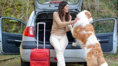 Celebrate National Pet Day by taking your furry best friend on a road trip - here's what you'll need - autoblog.com - county Day