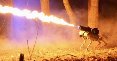 Somehow This $10,000 Flame-Thrower Robot Dog Is Completely Legal in 48 States - wired.com - Usa - state California - state Ohio - state Maryland